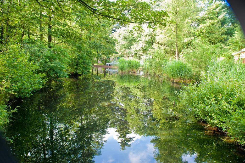 Vakantiepark De Berkenhorst Kootwijk 외부 사진